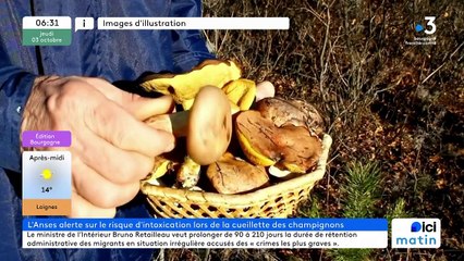 03/10/2024 - ICI Matin France Bleu Bourgogne en vidéo