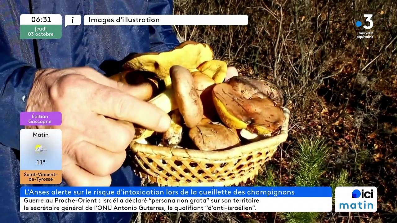 03/10/2024 - ICI Matin France Bleu Gascogne en vidéo