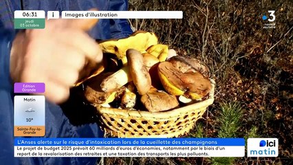 03/10/2024 - ICI Matin France Bleu Gironde en vidéo