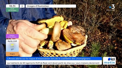 03/10/2024 - ICI Matin France Bleu Loire Océan en vidéo