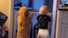 Da helado por primera vez a su gato y todo internet se parte de risa con su reacción