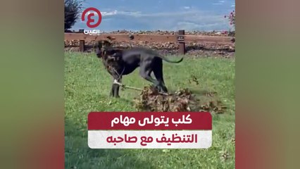 كلب يتولى مهام التنظيف مع صاحبه