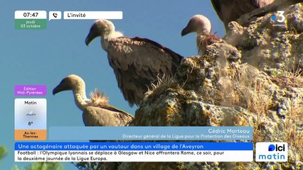 Cédric Marteau, directeur général de la LPO