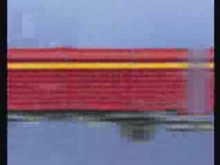 [Video divertenti] Morte della rana pazza