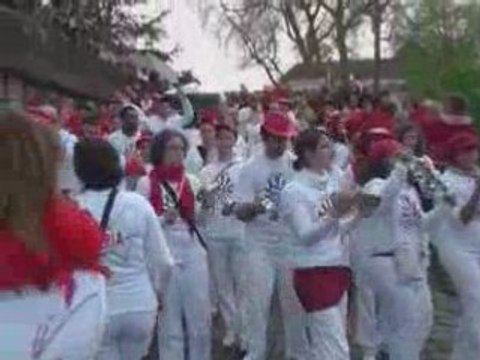 Parade Carnaval de Tours - Alegria de Tours 2008