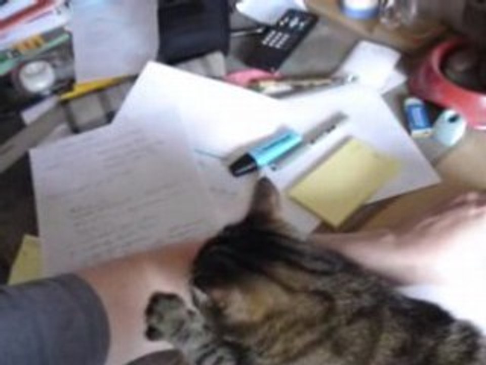 Picco et le massage Chatsu Part two