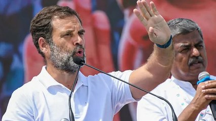 राहुल गांधी ने नूंह में भाजपा पर साधा निशाना, कहा-'संविधान और लोकतंत्र को बचाना सबसे बड़ी लड़ाई'