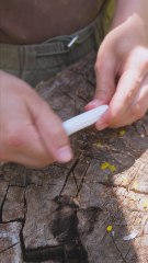 Quick and Easy Fire Lighting Hack You Need to Try! 