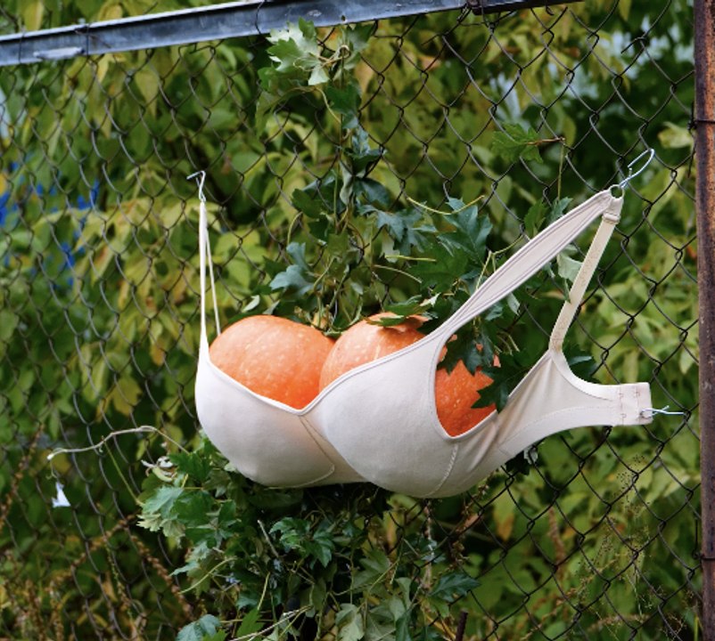 UTILES ASTUCES MAISON POUR LES PLANTATIONS ! 