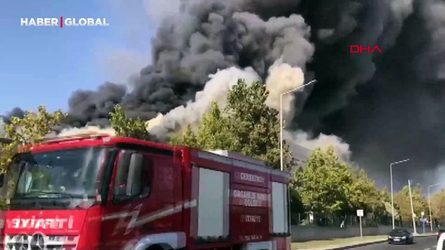 Tekirdağ'da büyük yangın! Bölgeye ekipler sevk edildi