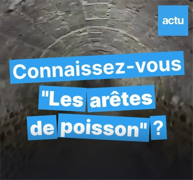 Connaissez-vous les arêtes de poisson, ces galeries souterraines sous Lyon ?