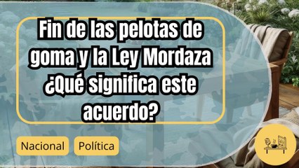 EH Bildu y Gobierno pactan eliminar las pelotas de goma y reformar la Ley Mordaza