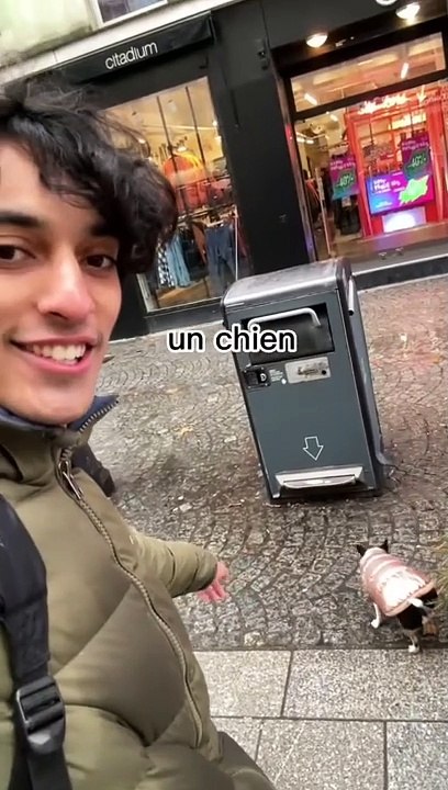 Laisse moi ton chien 24h et gagne !