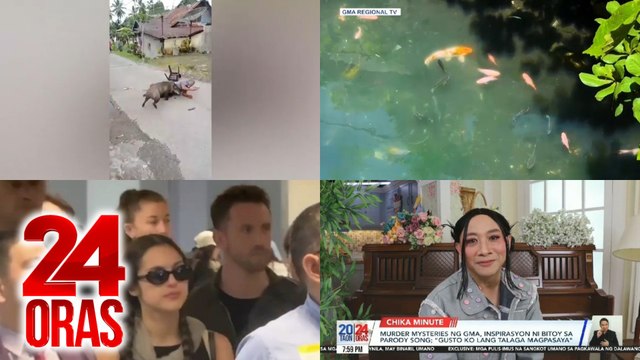24 Oras: (Part 3) Lalaking inatake ng baboy ramo; koi fish sa kanal; Bakit naging emosyonal si Heart?; Olivia Rodrigo sa Pilipinas; Bagong parody ni Bitoy, atbp.