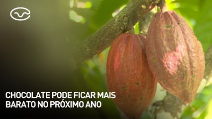 Chocolate pode ficar mais barato no próximo ano
