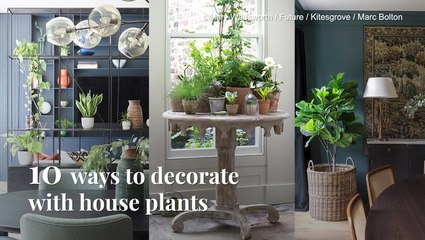 Tips On: Using Plants To Decorating Your Home