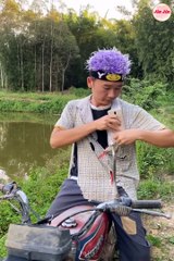 Best_Funny_Videos__-_Try_to_Not_Laugh_(1080p)