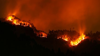 ¿Arde la tierra en varios puntos La alarmante realidad de los incendios forestales
