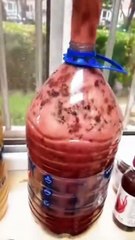 Faire du vin fait maison c'est très risqué