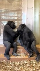 Money fuuny speaking