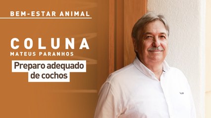 Bem-estar Animal: preparo adequado de cochos