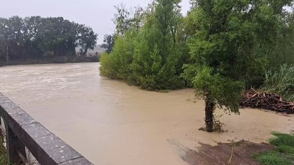 Maltempo, il torrente Trossa a Ponteginori (Pisa) nella confluenza con il fiume Cecina (video di Alessandro Bagnoli)