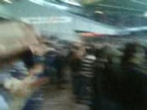 Toulouse bordeaux parkage ultramarines