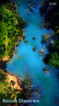 Water sounds with relaxing music♬|| Nature Discovers..........#shorts #naturesounds #natureshorts