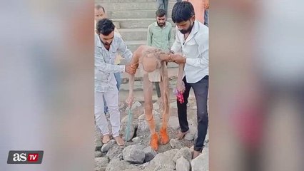 Download Video: 110-year-old man found in Indian cave in astonishing condition breaks the Internet