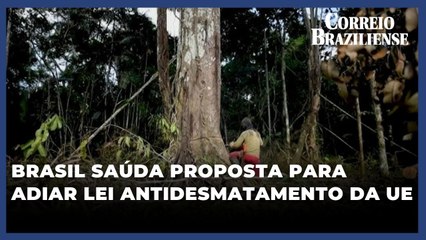 Brasil saúda proposta para adiar lei antidesmatamento da UE
