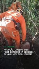 Operação Florestal 2024: focos de incêndio em Barreiras, Pilão Arcado e outras cidades