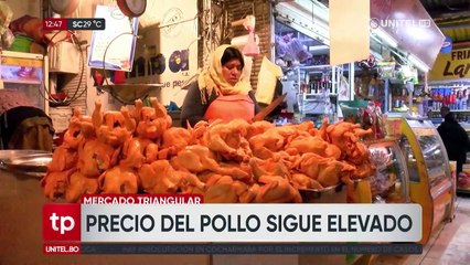 El pollo llega más caro, más pequeño y en menor cantidad a mercados de Cochabamba