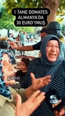 Bir domatesin 30 euro olduğunu idda eden bir gurbetçiye, diğer bir gurbetçiden uygulamalı cevap