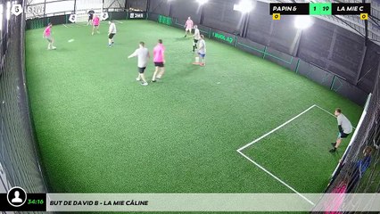 But de David B - LA MIE CÂLINE