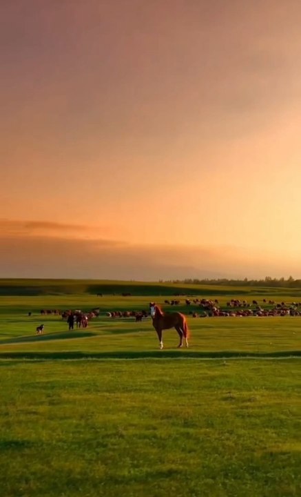 Unlock the Secrets of Stunning Landscape Photography #nature #landscape #viral #viralvideo #foryou