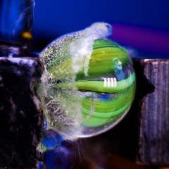 You've Never Seen It So Close. 