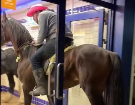 Horse walks into Finnegan's chip shop in Porthcawl, Wales