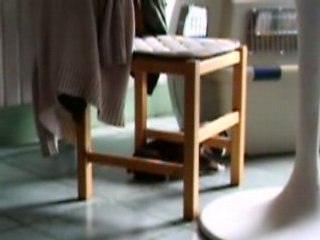 BB Usty 1 mois première découverte de la maison