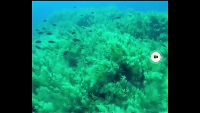 Sciacca, Via dei Tesori alla scoperta dell'isola Ferdinandea