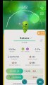 Pokémon GO-Evolving Shiny Kakuna