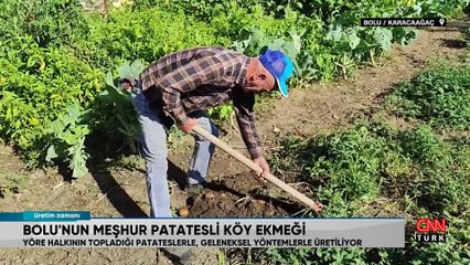 Bolu'nun meşhur patatesli köy ekmeğinin hikayesi