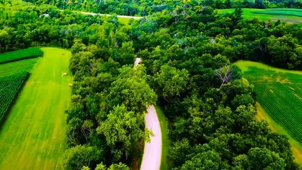 The Poor Farmer Who Created Walmart - Big Company.Best informative videos.