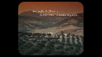 lo de evole - 3x04 - Felipe Gonzalez