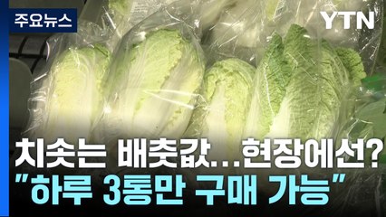 "3포기만 살 수 있습니다"...배추 보릿고개 넘는 마트 풍경 / YTN