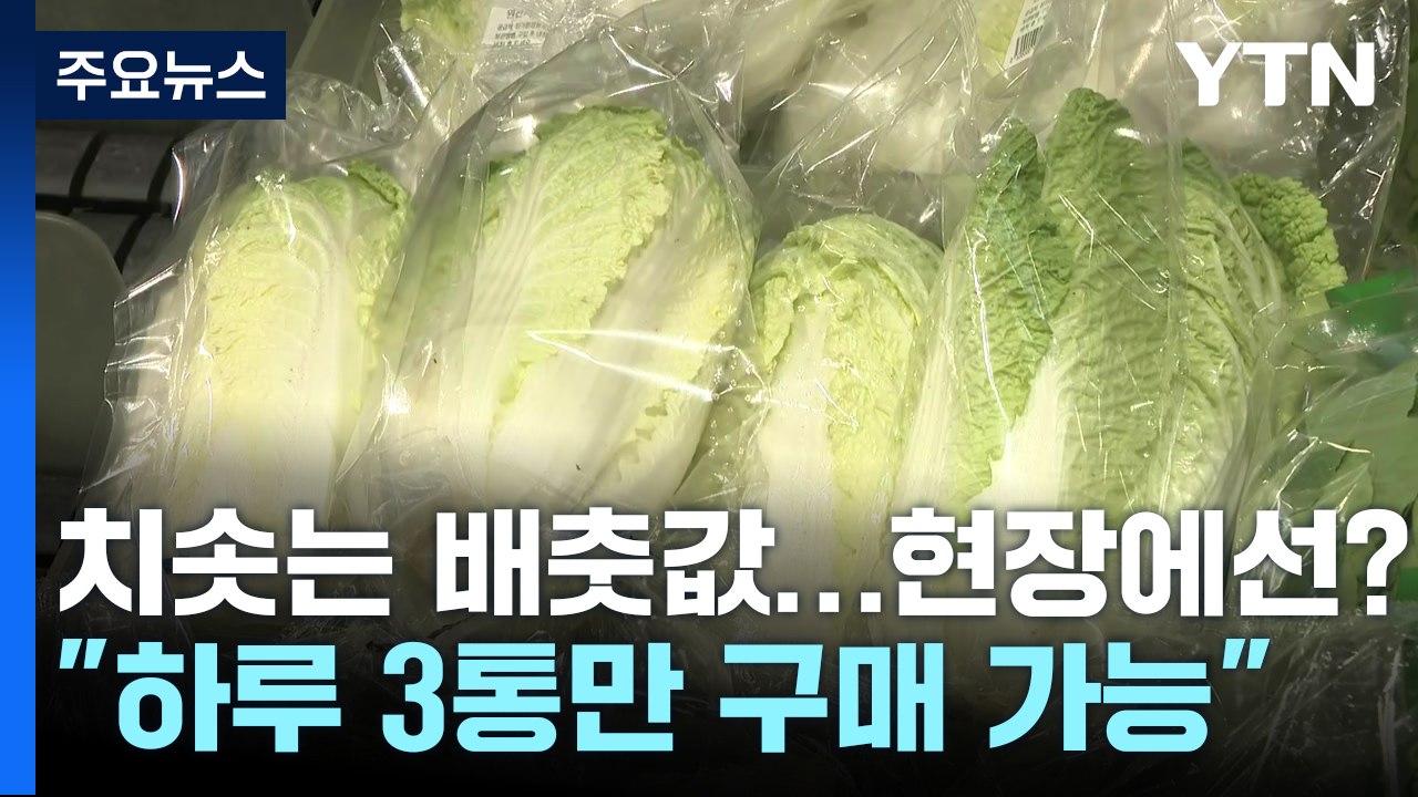 "3포기만 살 수 있습니다"...배추 보릿고개 넘는 마트 풍경 / YTN
