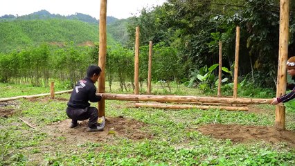 Dwarf Family how do build wooden houses - Will the new place be peaceful for the family