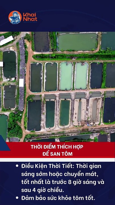 Calcium Chloride (Canxi Clorua) – Cải thiện môi trường ao nuôi, tăng chất lượng tôm cá