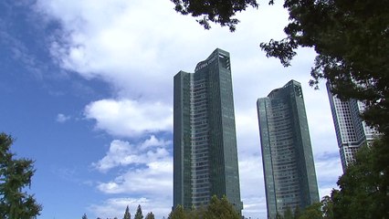 [날씨] 쾌청한 가을 날씨...도심 공원도 '금빛 억새 물결' / YTN