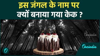 दुनिया का सबसे Mysterious जंगल, जिसके नाम पर बना Black Forest Cake | वनइंडिया हिन्दी