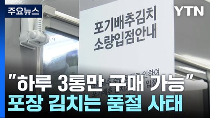 "3포기만 살 수 있습니다"...배추 보릿고개 넘는 마트 풍경 / YTN